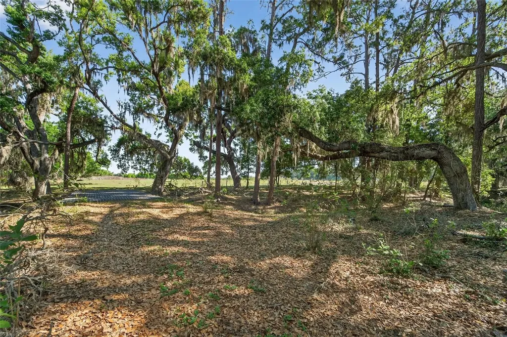 Carlton Road Plant City FL 33565