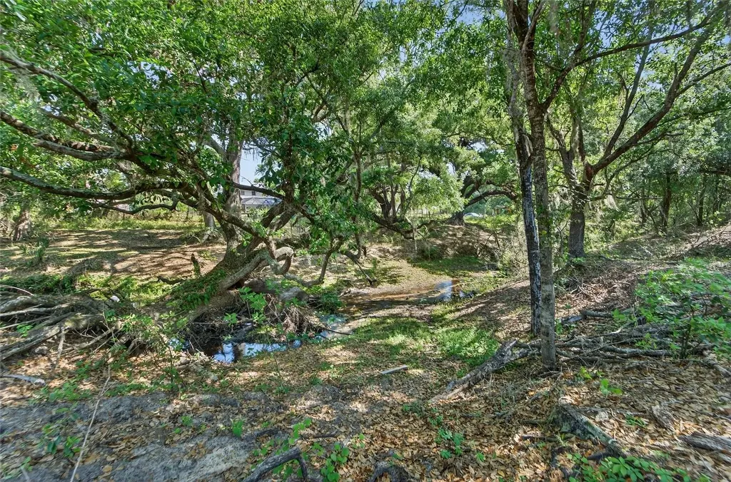 Carlton Road Plant City FL 33565