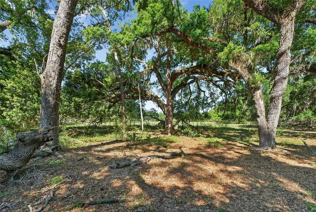 Carlton Road Plant City FL 33565