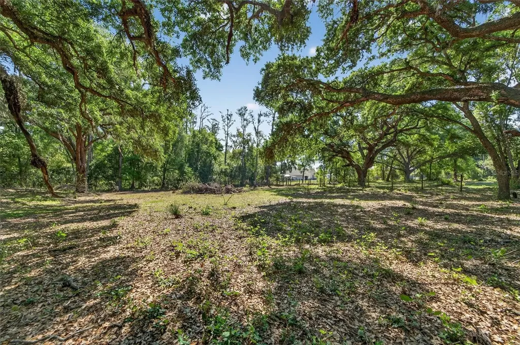 Carlton Road Plant City FL 33565