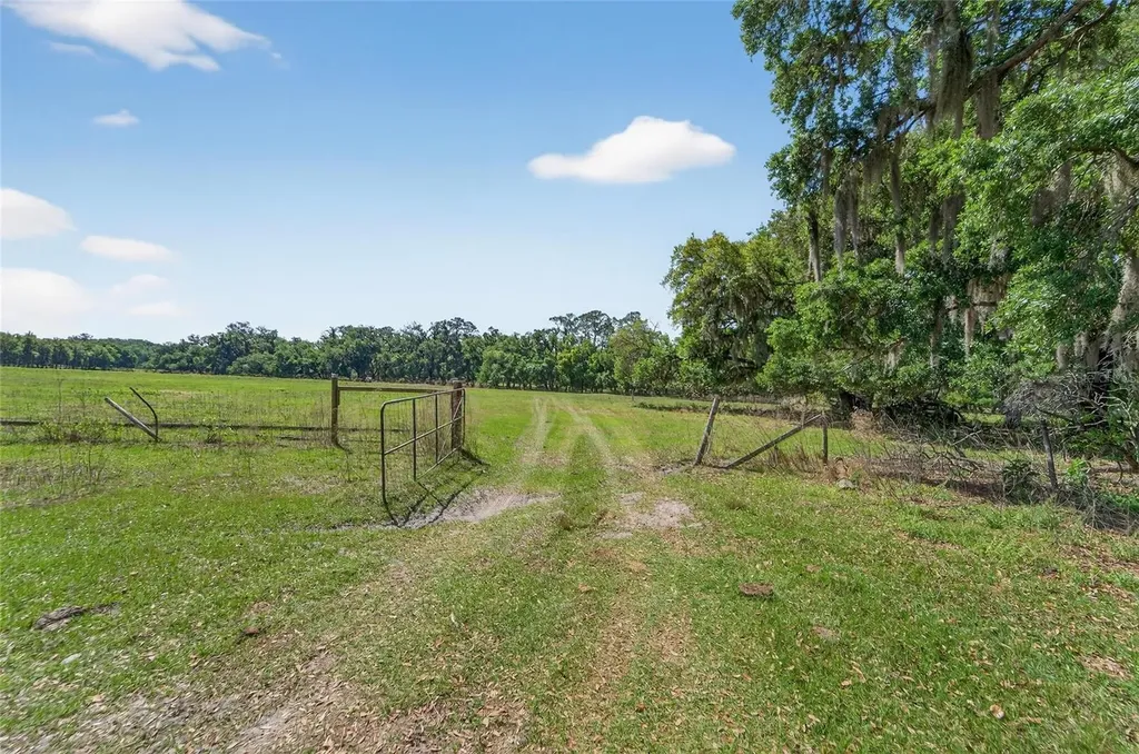 Carlton Road Plant City FL 33565