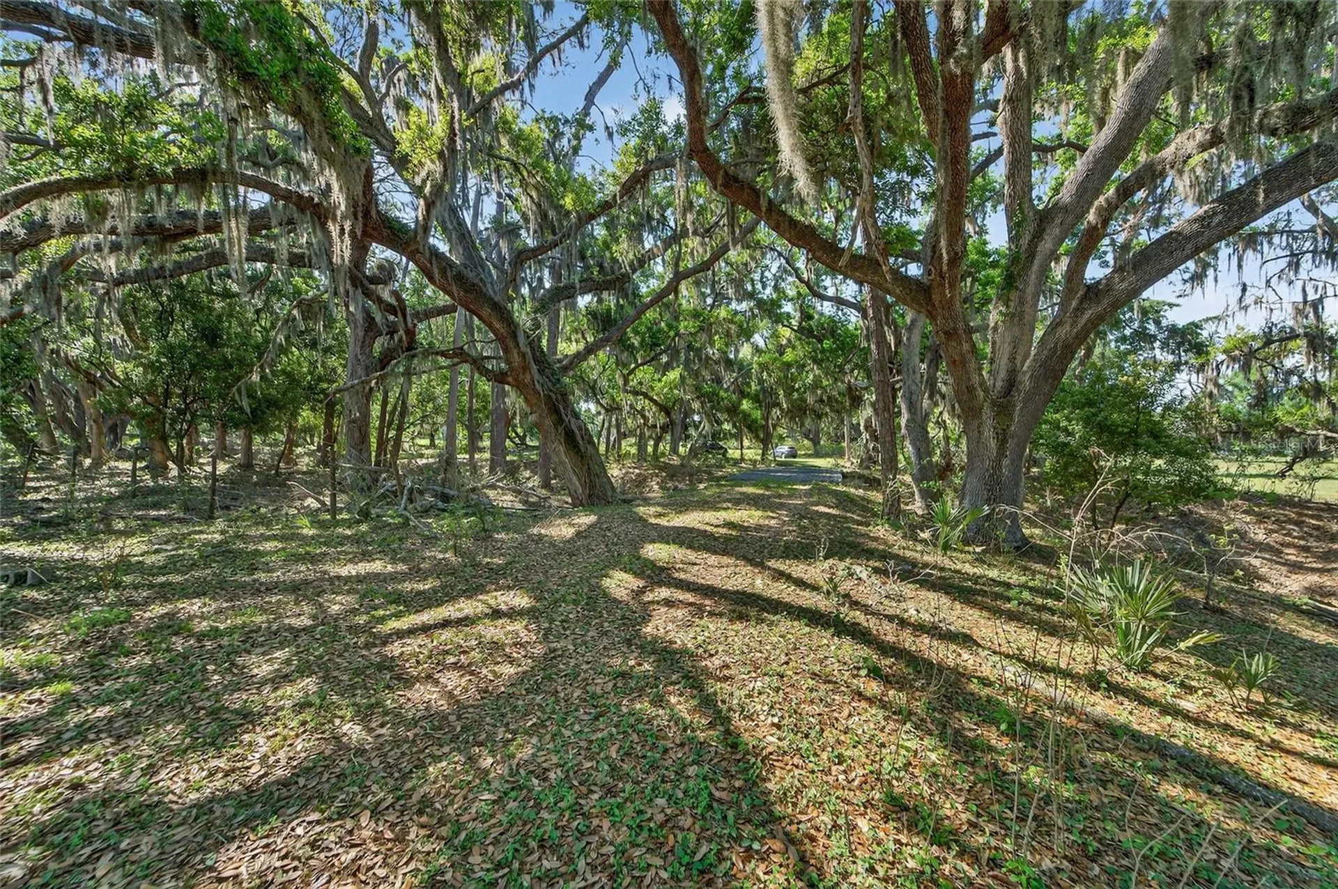 Carlton Road Plant City FL 33565