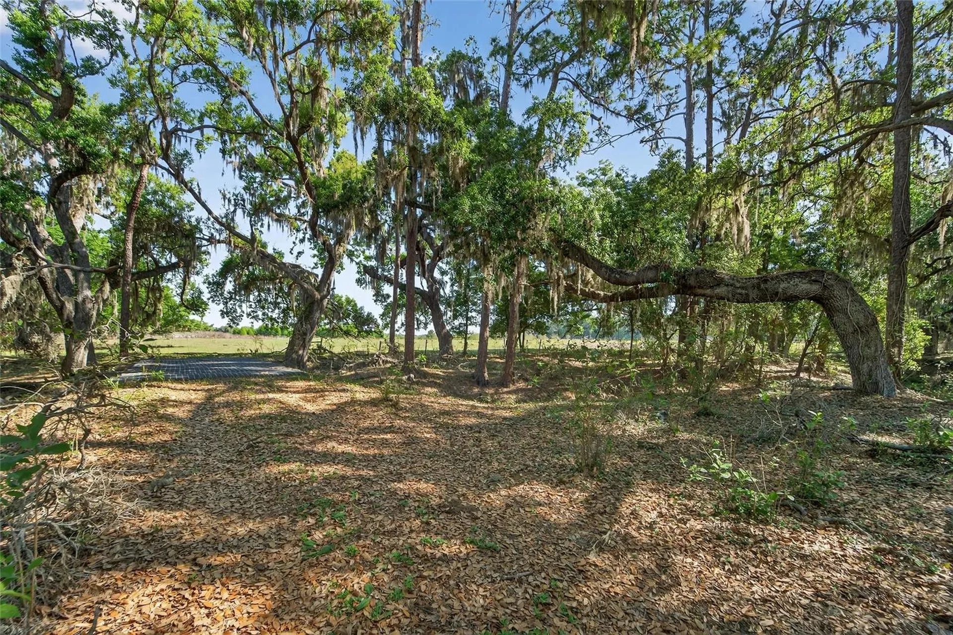 Carlton Road Plant City FL 33565