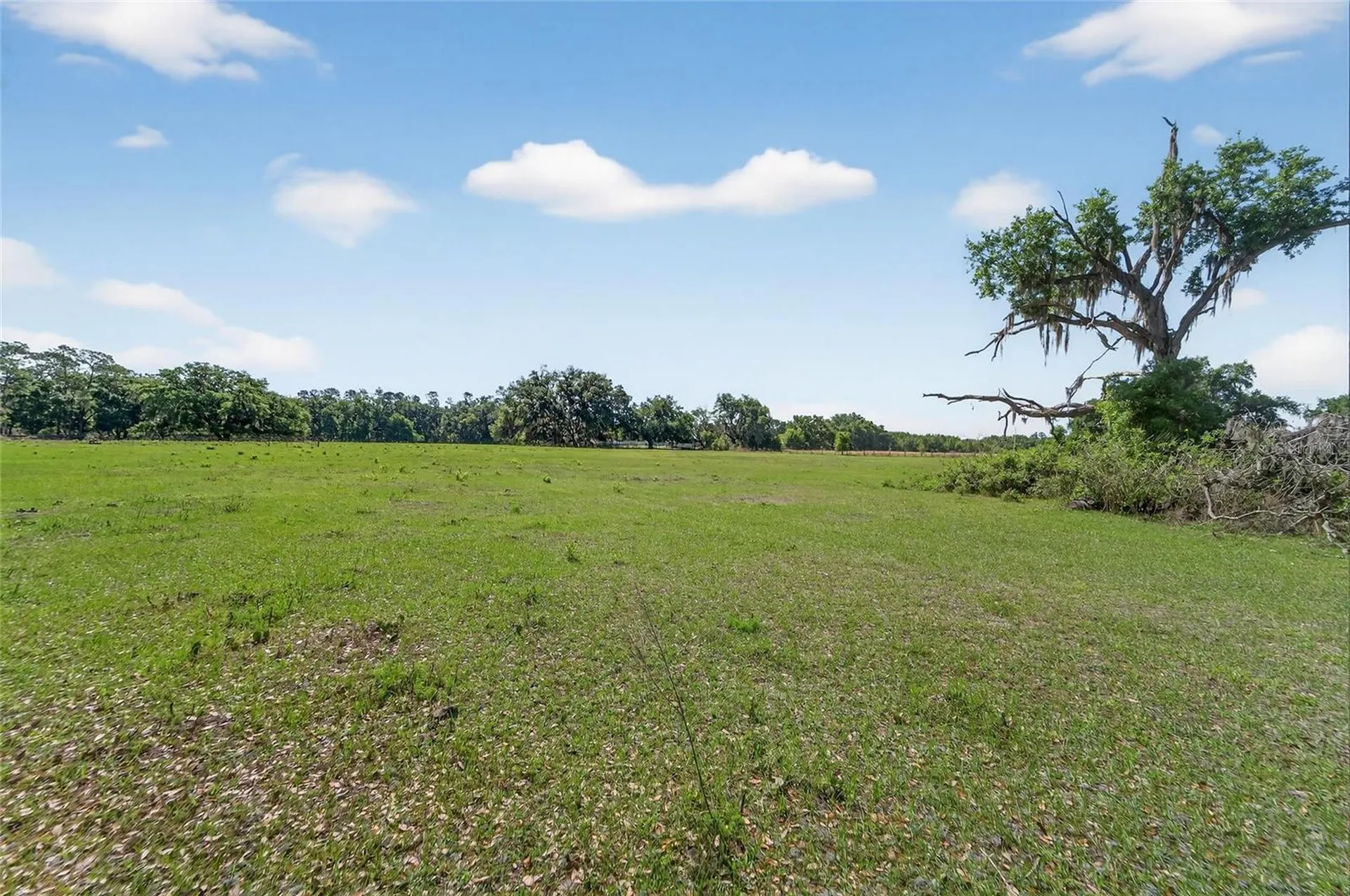 Carlton Road Plant City FL 33565
