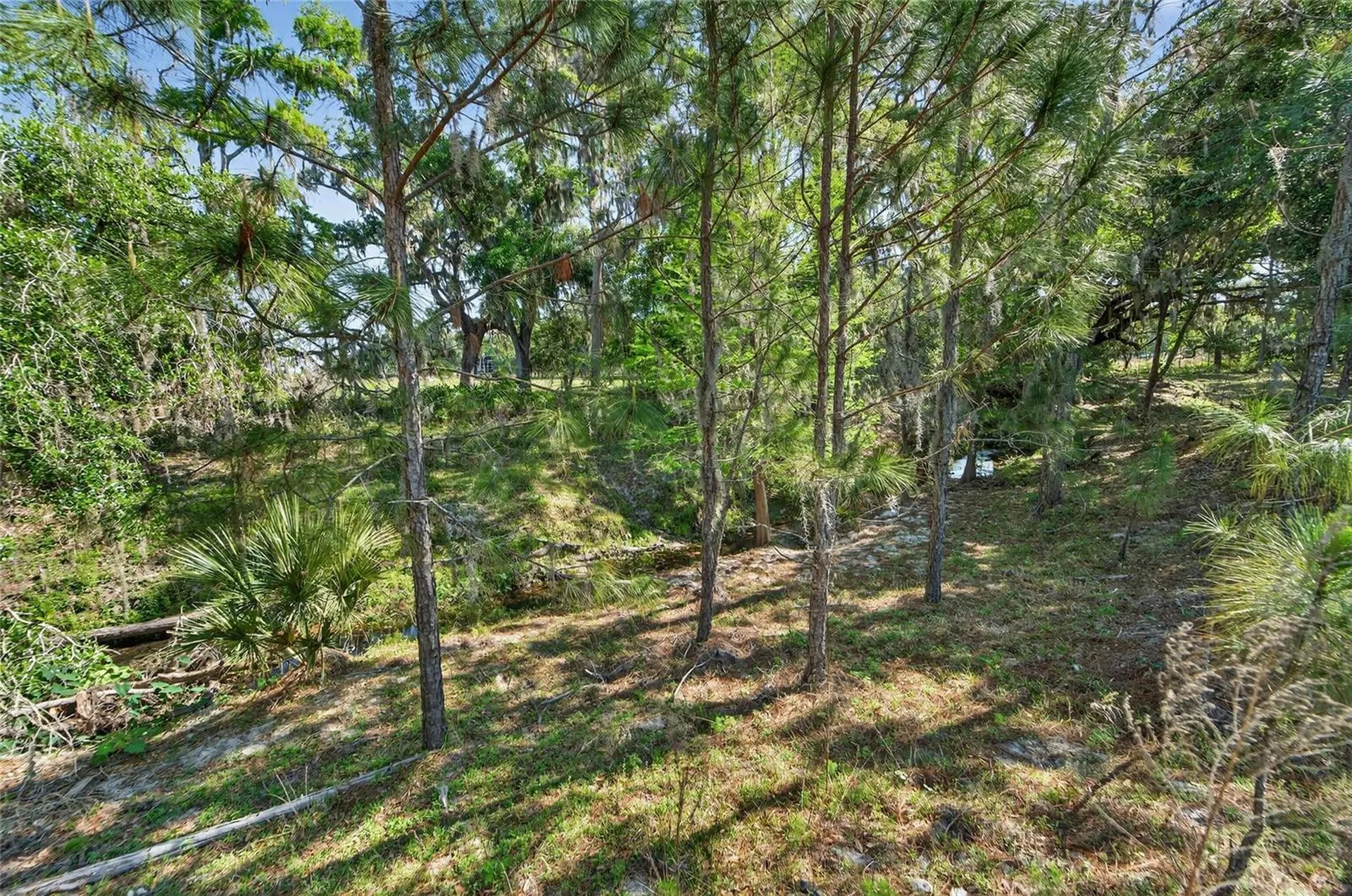Carlton Road Plant City FL 33565