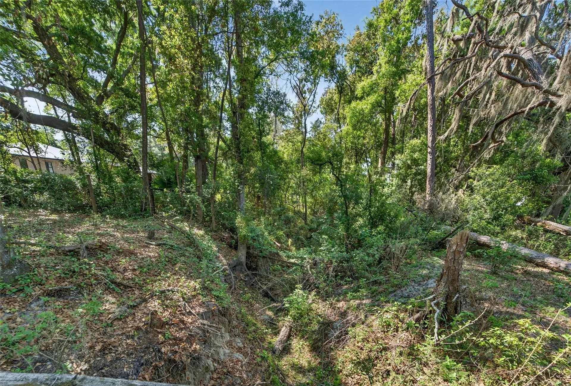 Carlton Road Plant City FL 33565