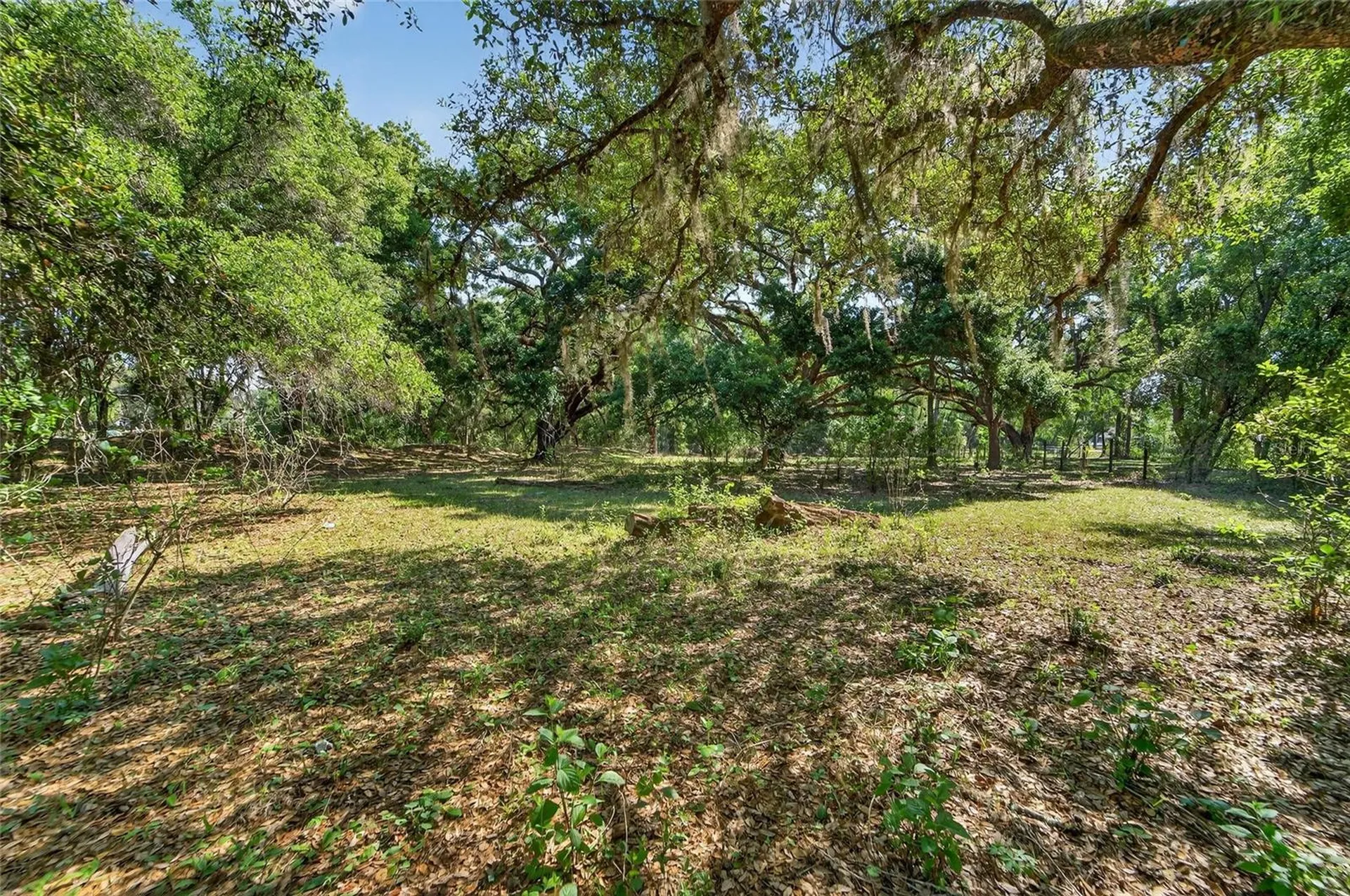 Carlton Road Plant City FL 33565