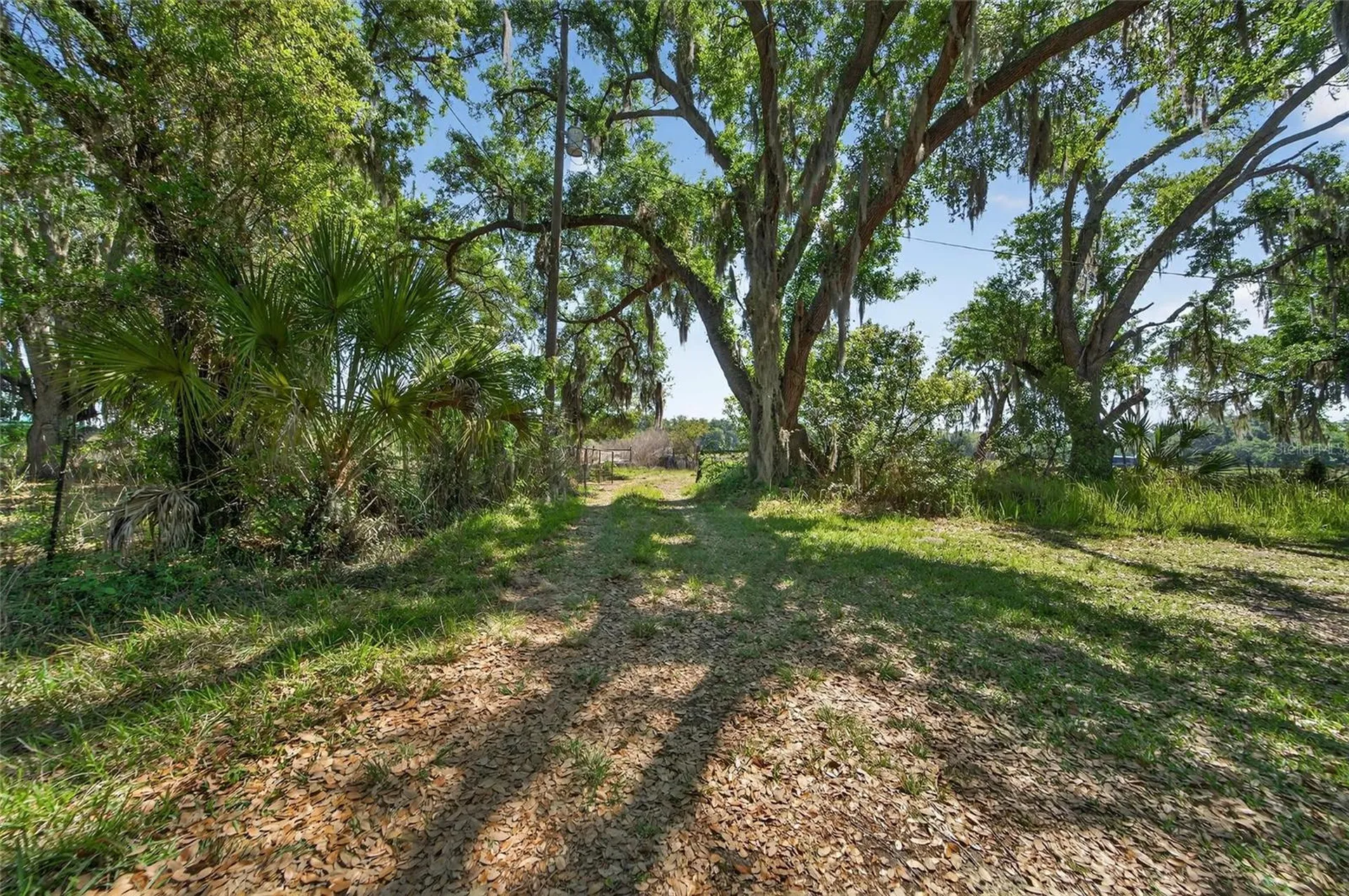 Carlton Road Plant City FL 33565