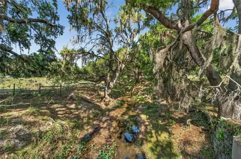Carlton Road Plant City FL 33565