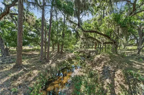 Carlton Road Plant City FL 33565