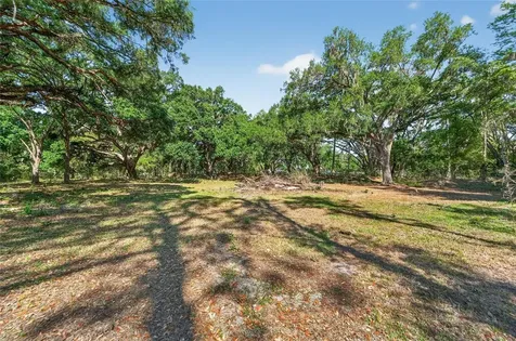 Carlton Road Plant City FL 33565