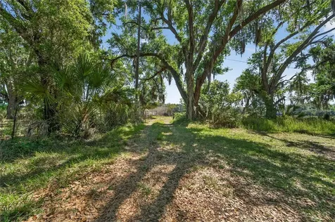Carlton Road Plant City FL 33565