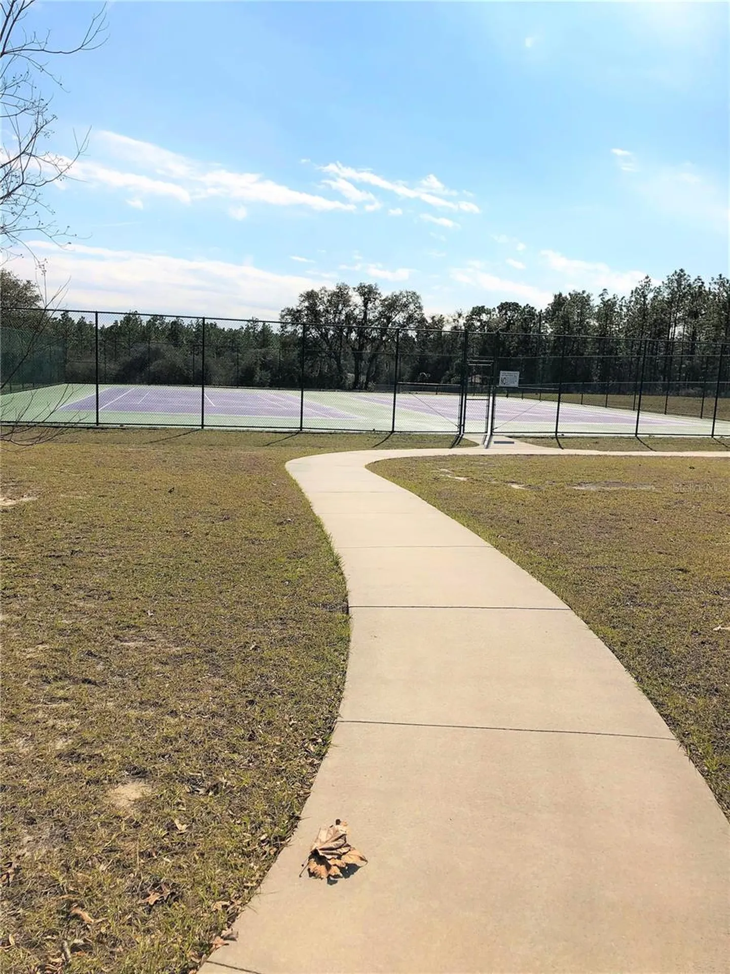 24576 NW Falcon Avenue Dunnellon FL 34431