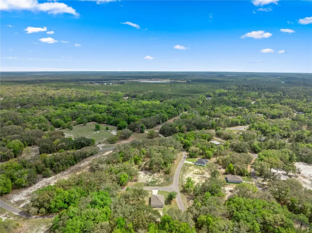 2 Magnolia Pass Trace Ocklawaha FL 32179