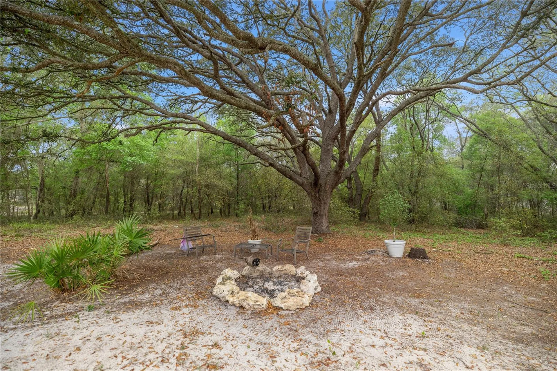 2 Magnolia Pass Trace Ocklawaha FL 32179