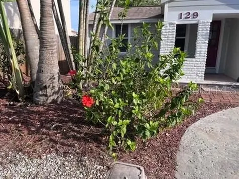 129 94th Avenue Treasure Island FL 33706