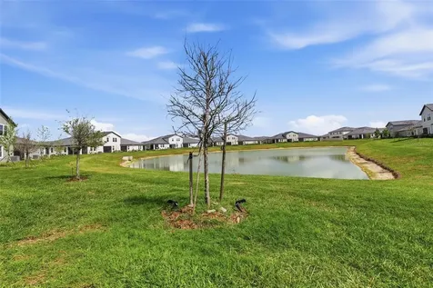 10799 Gable Dig Loop San Antonio FL 33576