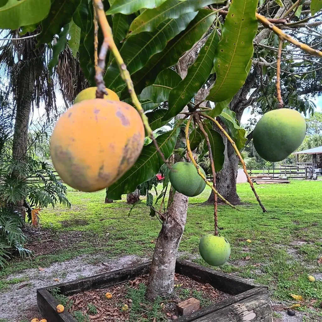 710 & 740 Evans Road Labelle FL 33935