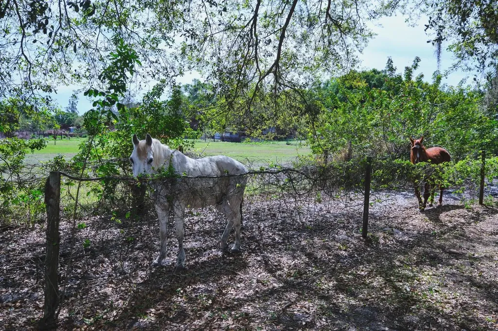 710 & 740 Evans Road Labelle FL 33935