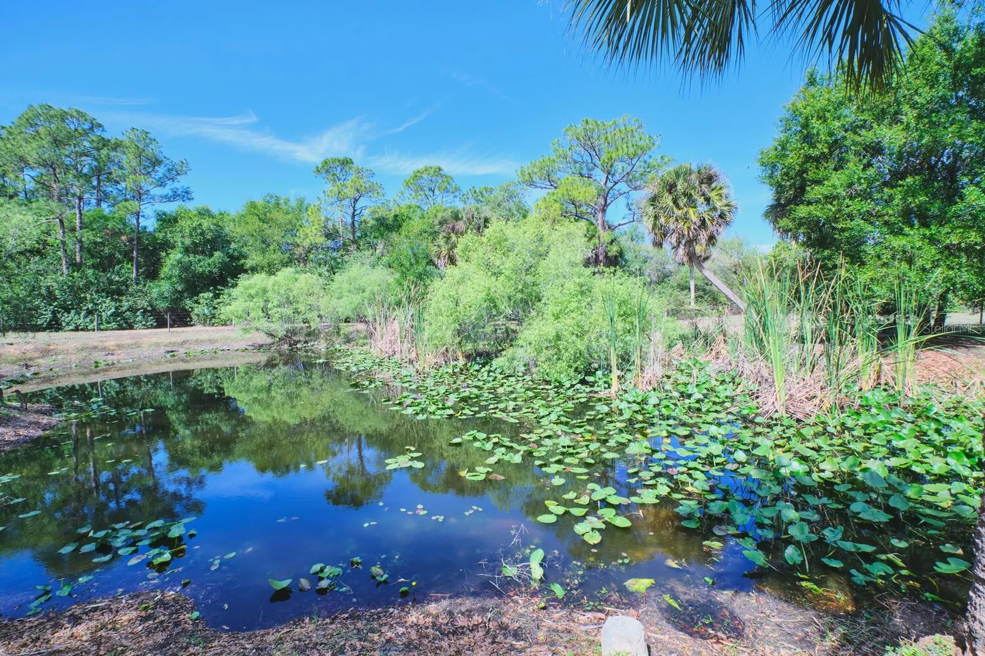 710 & 740 Evans Road Labelle FL 33935
