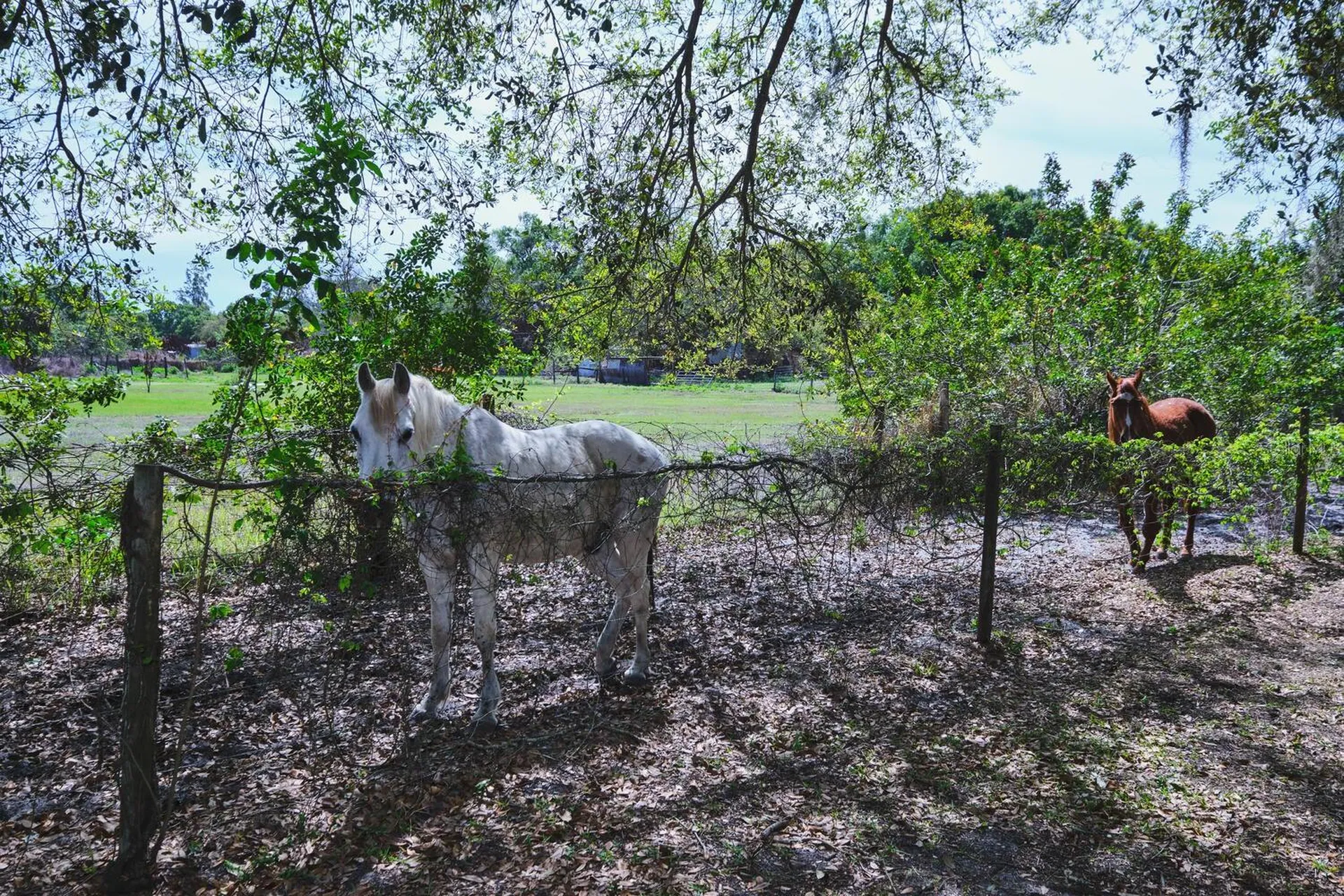 710 & 740 Evans Road Labelle FL 33935