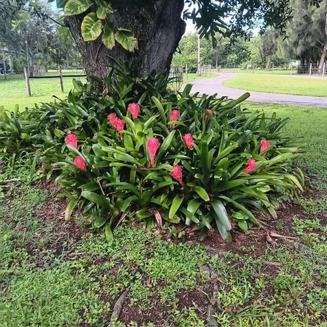 710 & 740 Evans Road Labelle FL 33935
