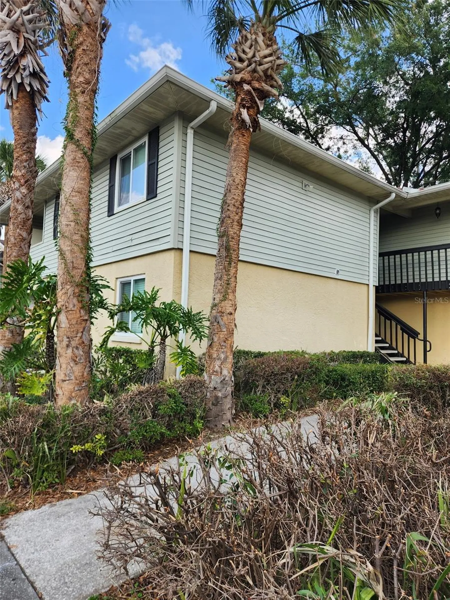 211 Thorn Tree Place Brandon FL 33510