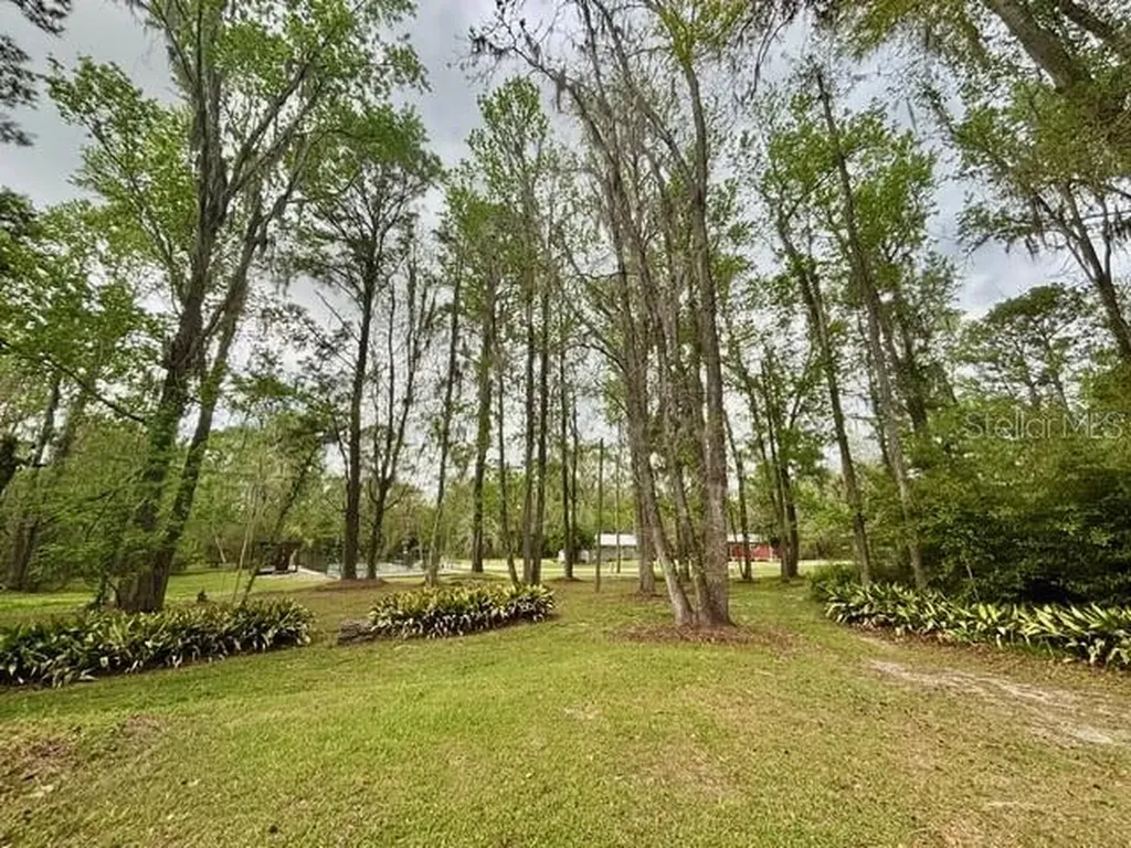 18917 NW County Road 239 Alachua FL 32615