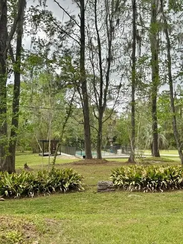 18917 NW County Road 239 Alachua FL 32615