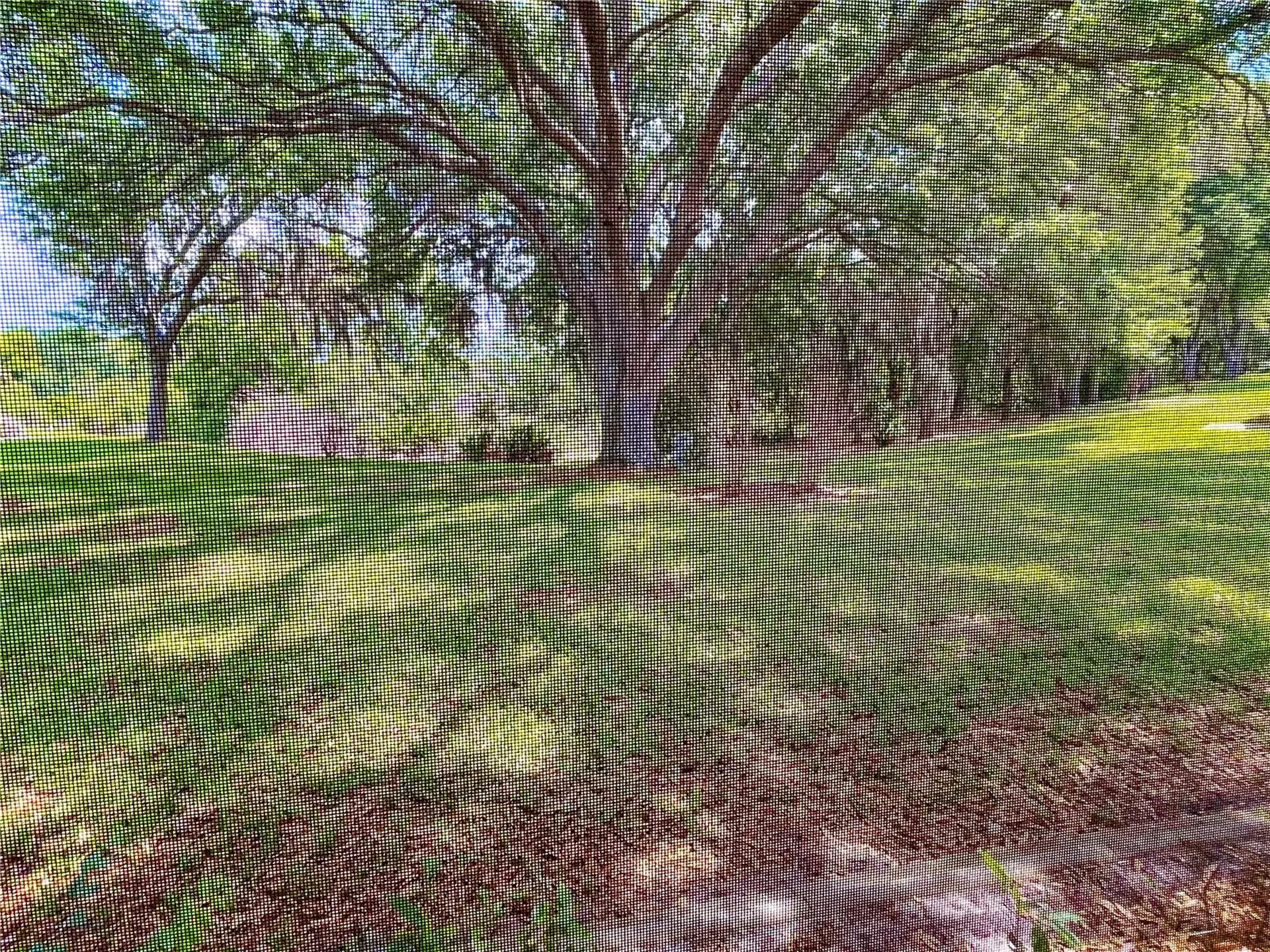 6042 Wade Street Leesburg FL 34748