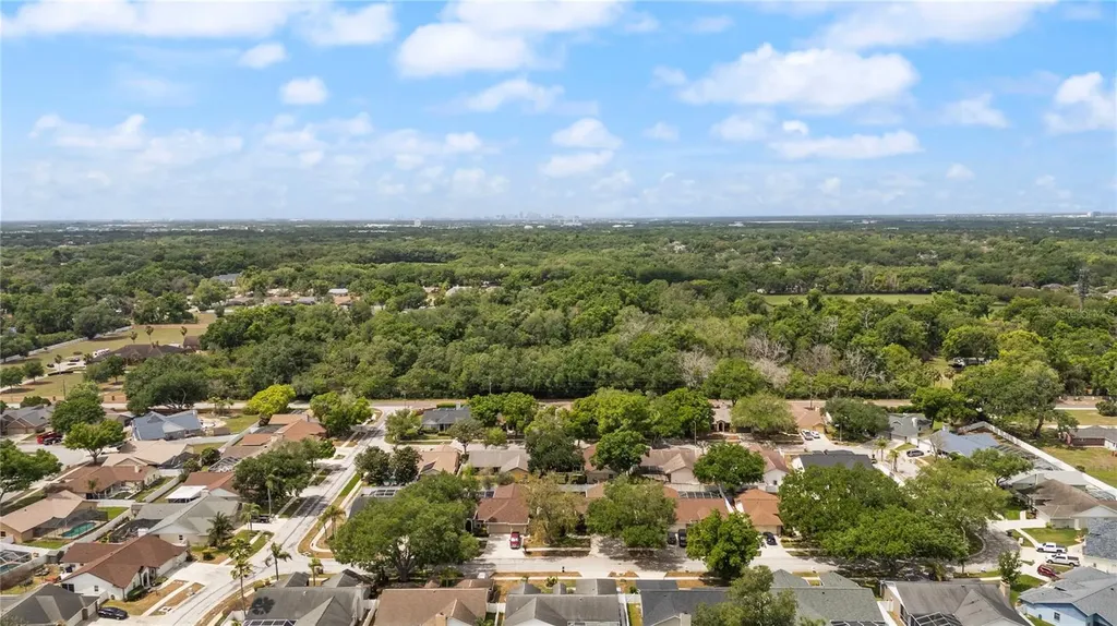 931 Balsamina Drive Brandon FL 33510