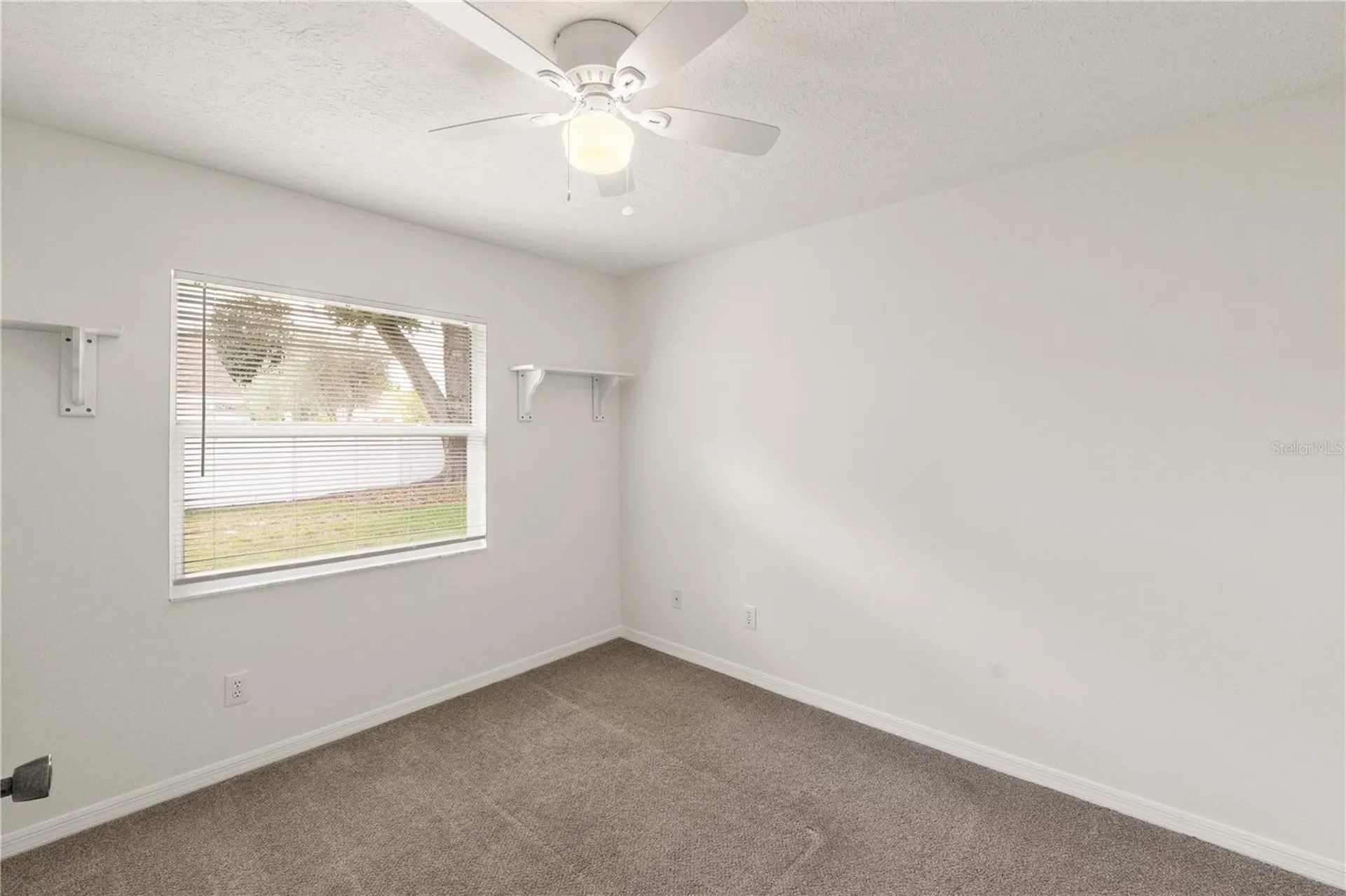 931 Balsamina Drive Brandon FL 33510