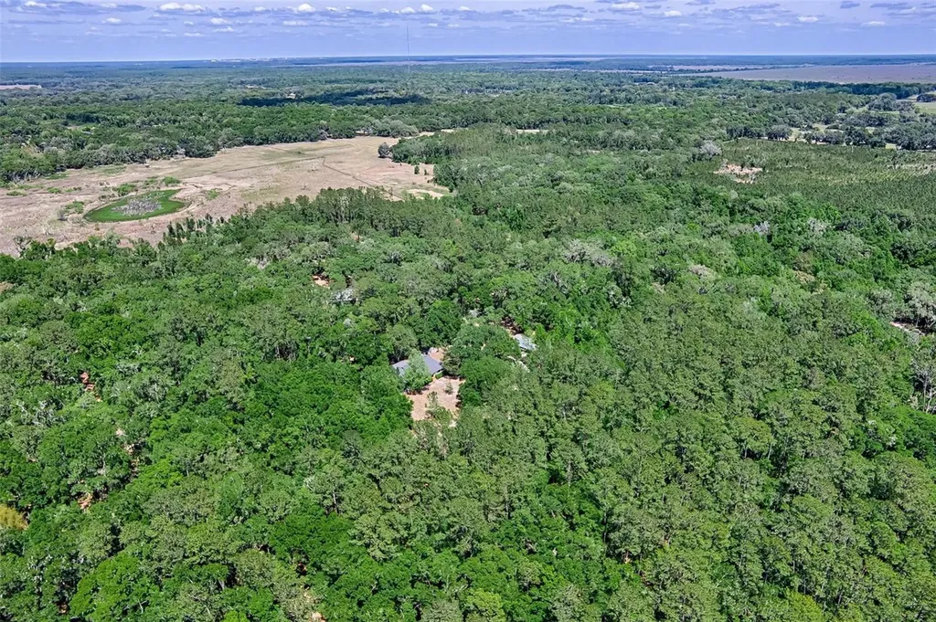 15522 SW 75th Street Archer FL 32618