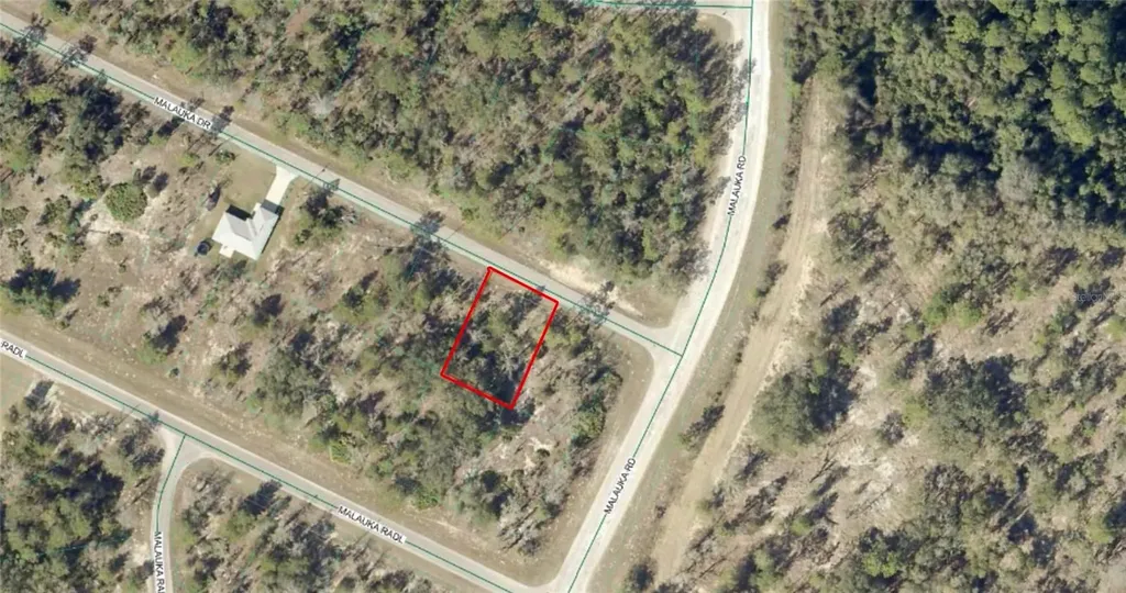 Tbd Malauka Drive Ocklawaha FL 32179