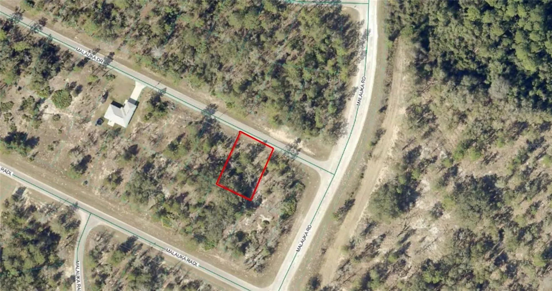 Tbd Malauka Drive Ocklawaha FL 32179