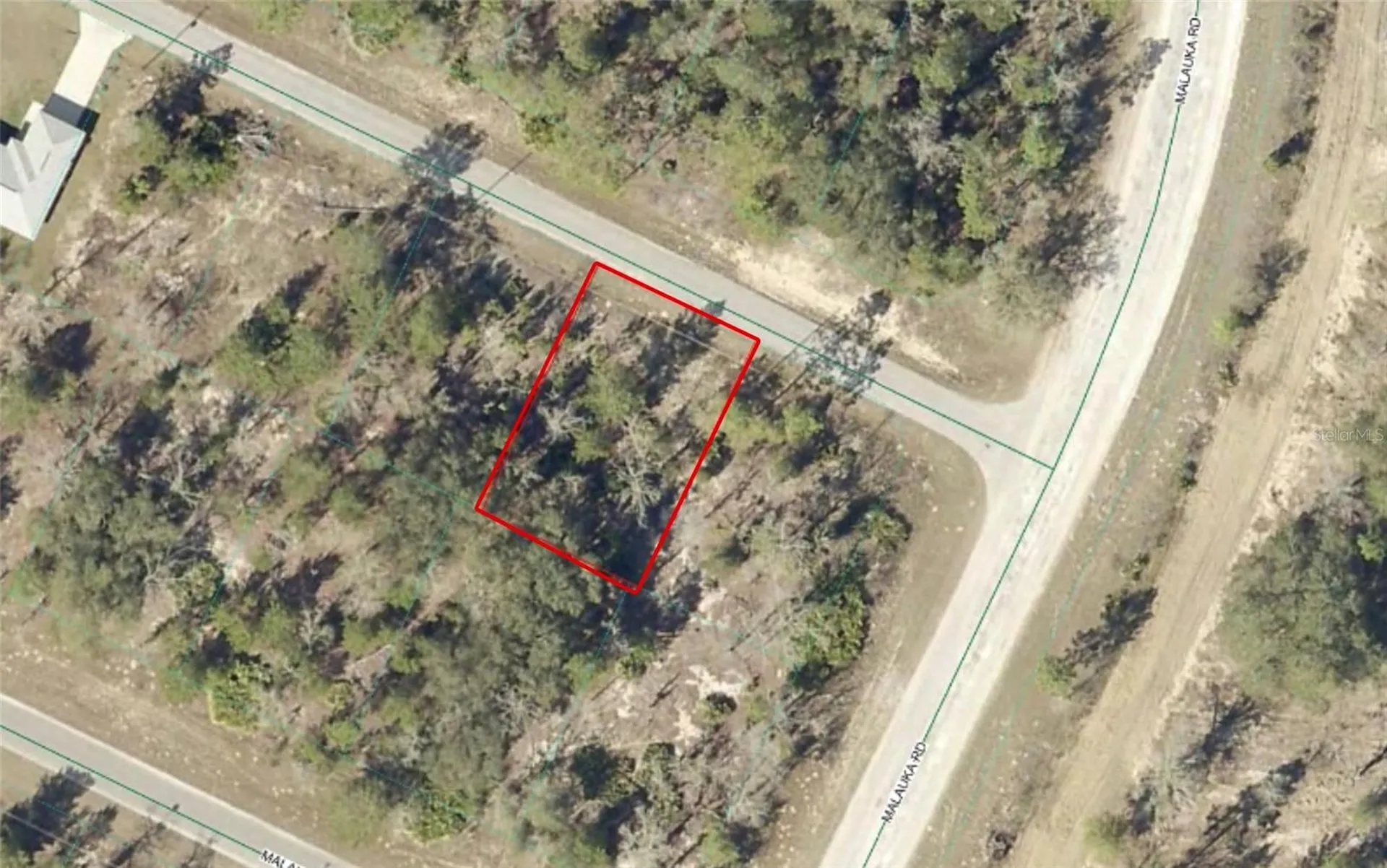 Tbd Malauka Drive Ocklawaha FL 32179