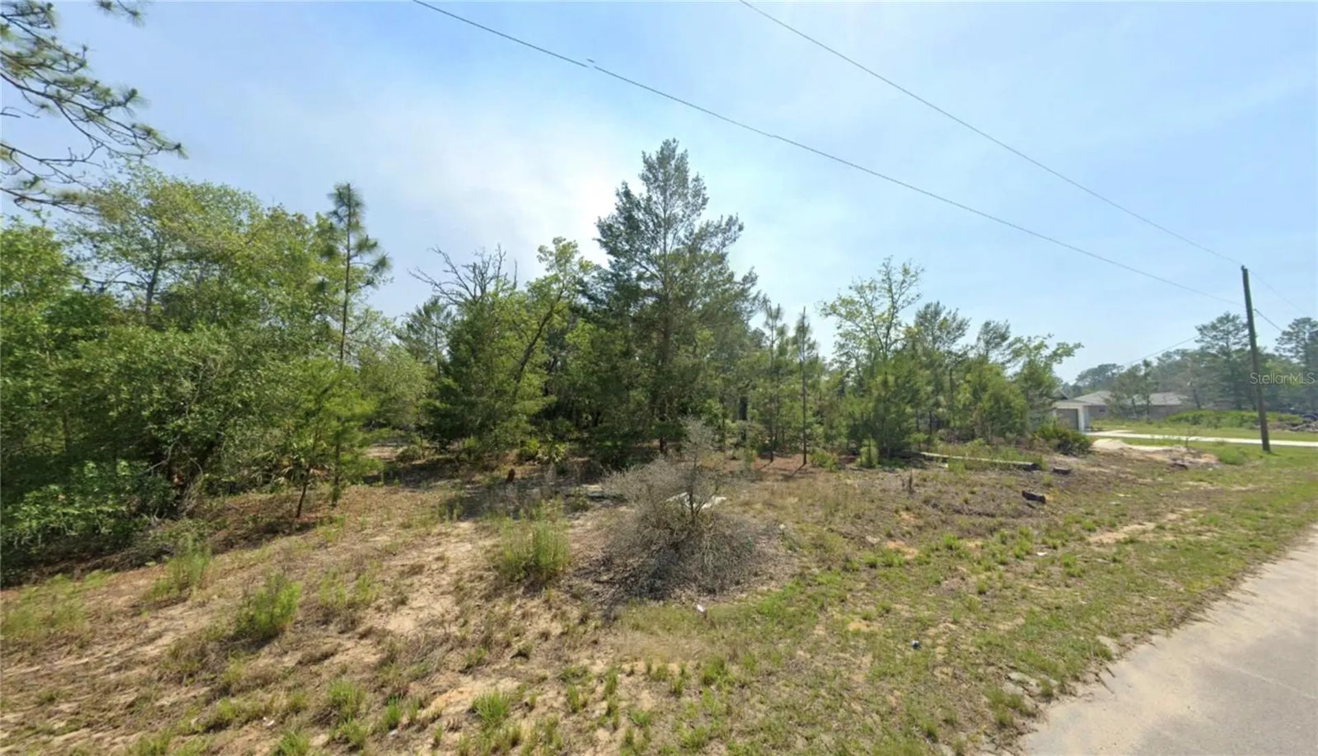Tbd Malauka Drive Ocklawaha FL 32179