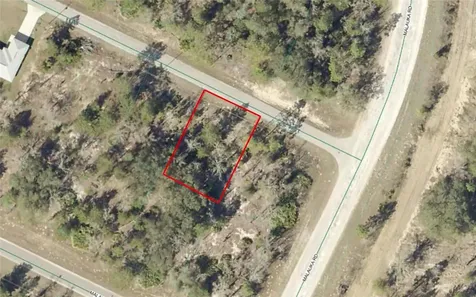 Tbd Malauka Drive Ocklawaha FL 32179