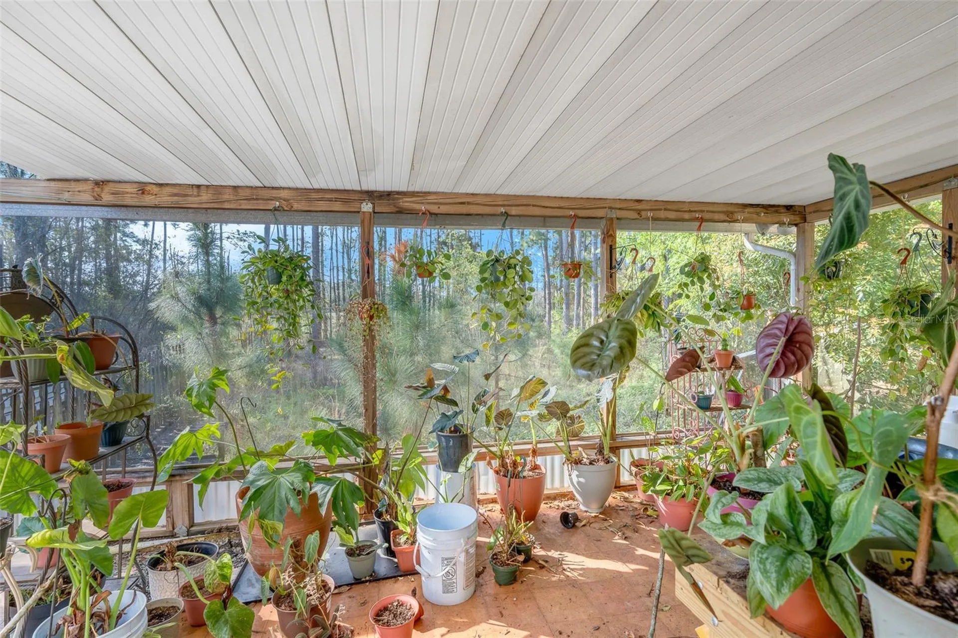 32404 Highland Lakes Road Deland FL 32720