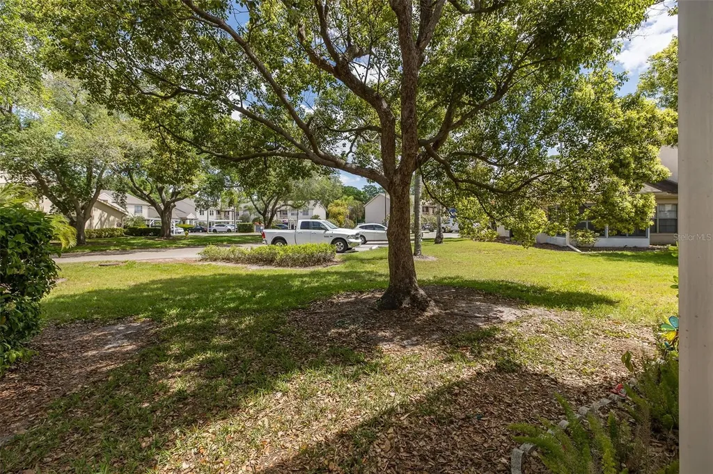 7900 Hardwick Drive New Port Richey FL 34653
