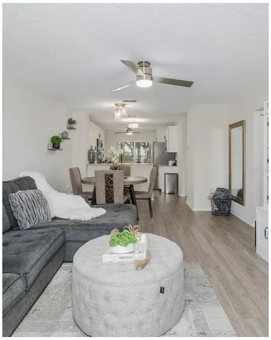 7900 Hardwick Drive New Port Richey FL 34653