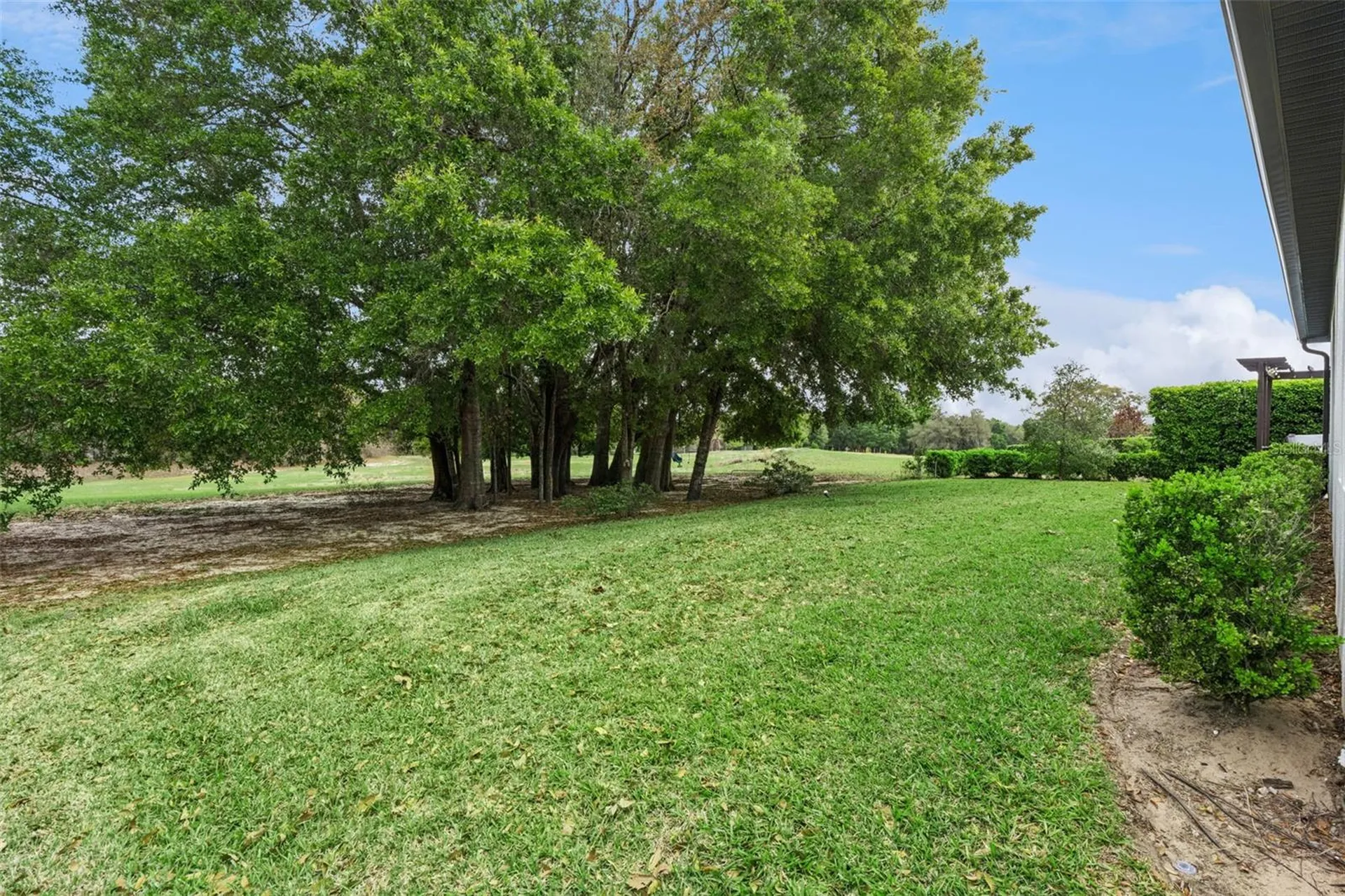 1055 Rock Creek Street Apopka FL 32712