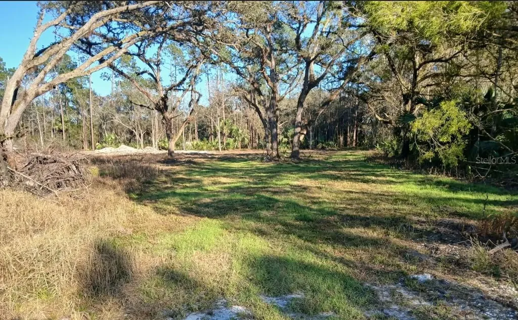 1013 Cupid Avenue Christmas FL 32709