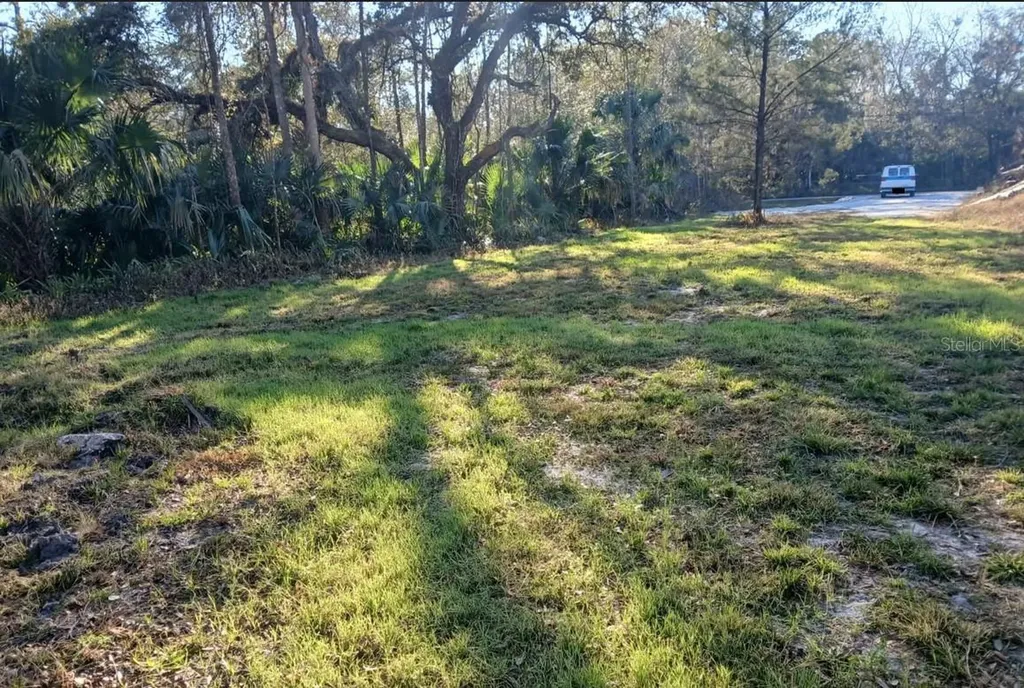 1013 Cupid Avenue Christmas FL 32709