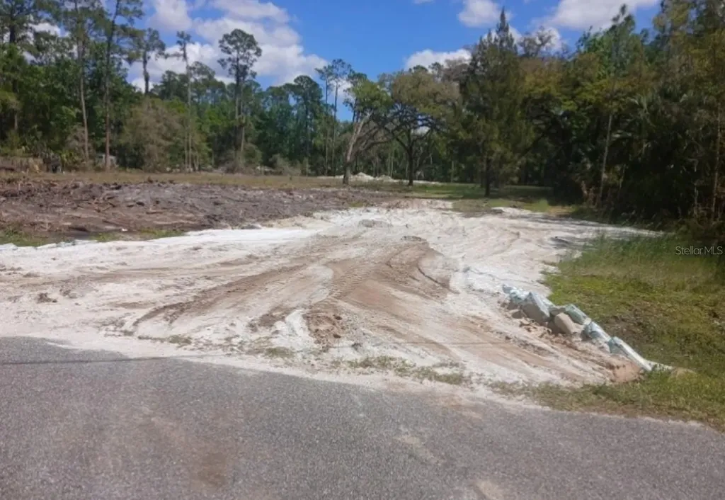1013 Cupid Avenue Christmas FL 32709