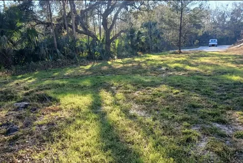 1013 Cupid Avenue Christmas FL 32709