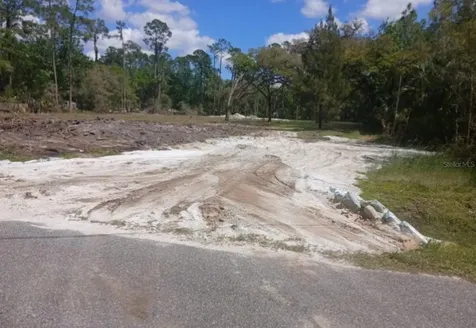 1013 Cupid Avenue Christmas FL 32709