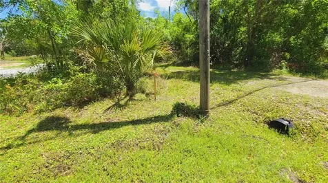 1013 Cupid Avenue Christmas FL 32709