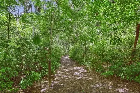 2115 Philippe Parkway Safety Harbor FL 34695