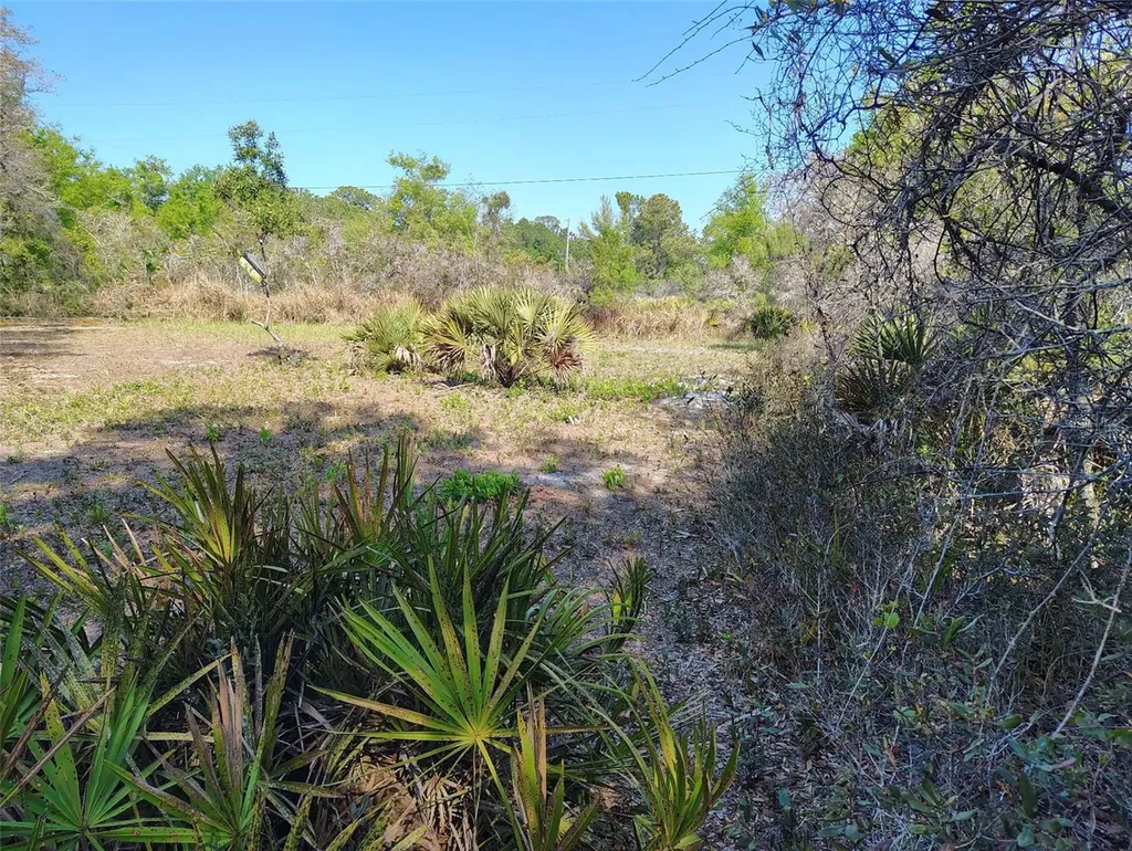 1873 W Foxglove Road Avon Park FL 33825